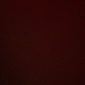 Meet your Posher, Sienna